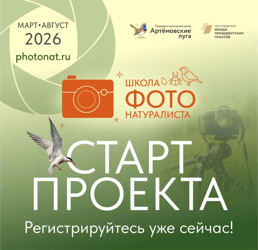 В Нижегородской области стартует масштабный экопроект «Школа фотонатуралиста»